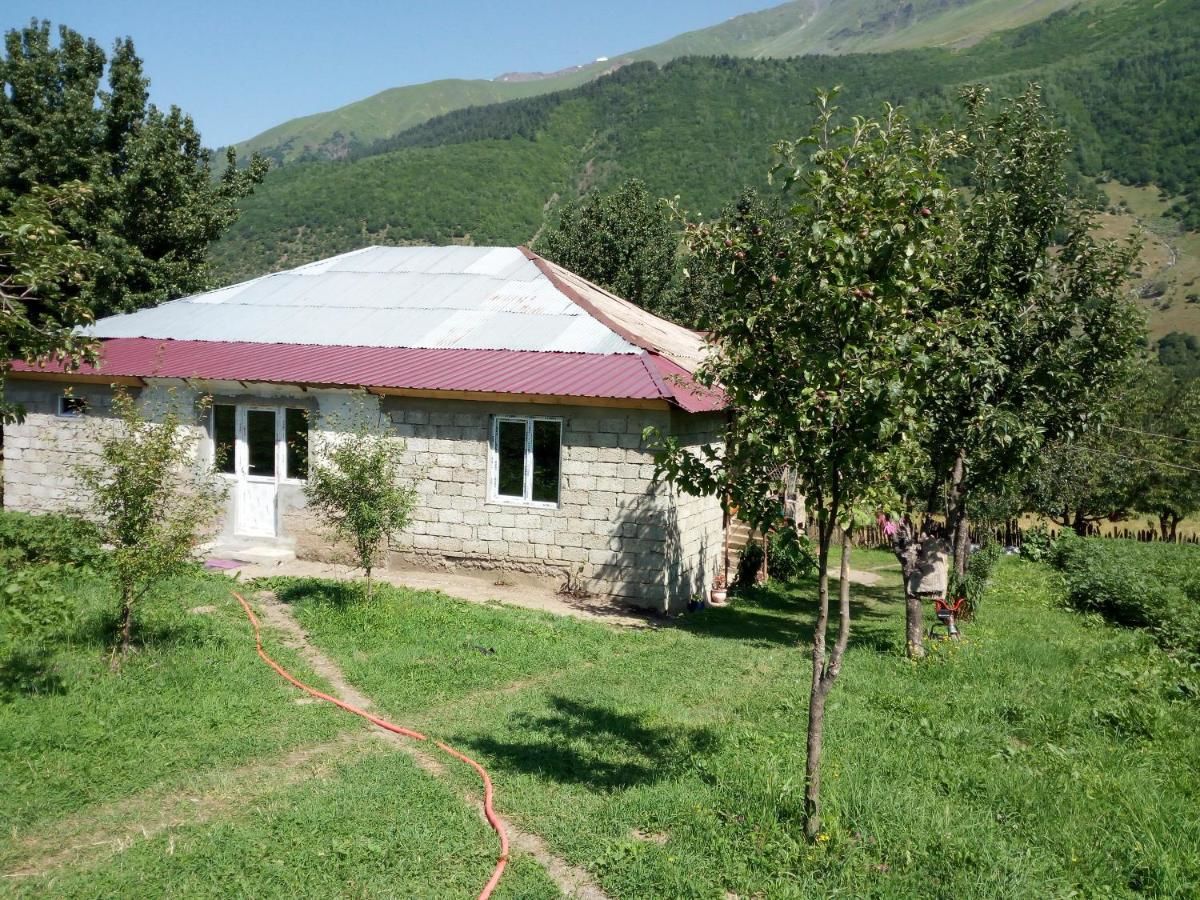 Гостевой дом Guesthouse MAMUKA zhabesh Zhabeshi-42