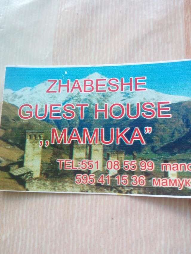 Гостевой дом Guesthouse MAMUKA zhabesh Zhabeshi-17
